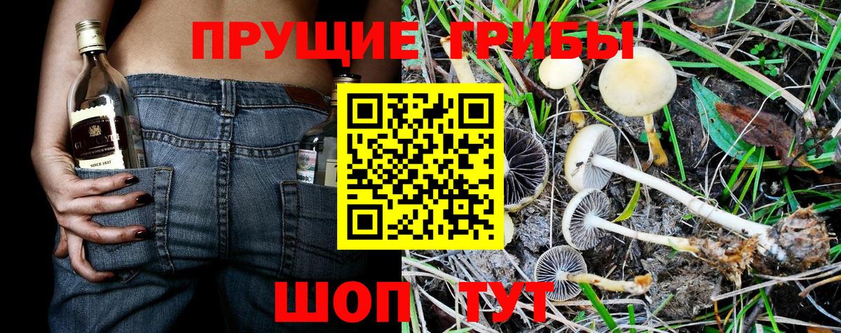 Галлюциногенные грибы Psilocybe  Псилоцибиновые грибы мухоморы  Вход с VPN  Набережные Челны 